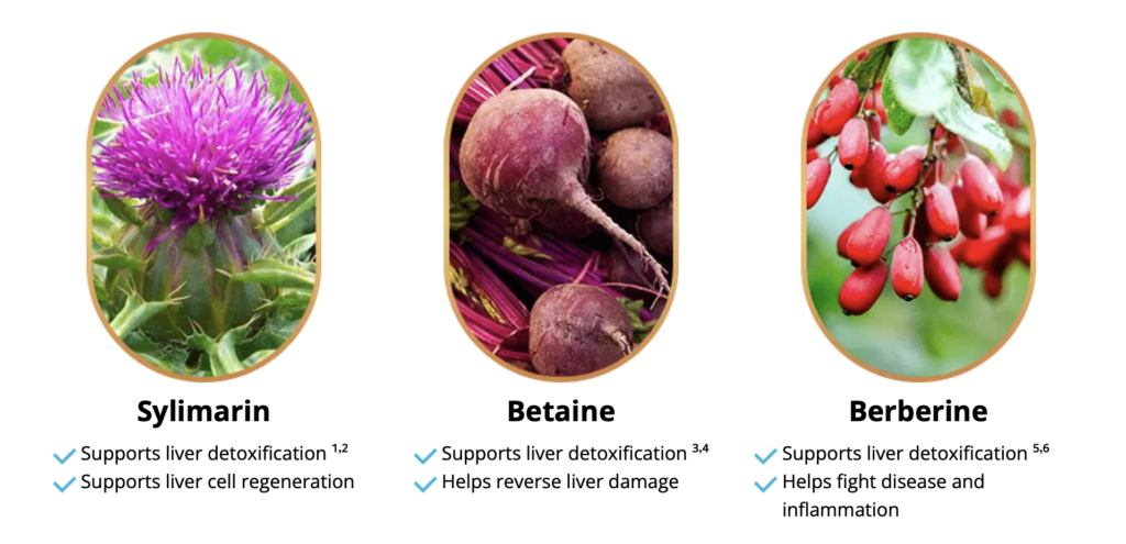 Sylimarin
Betaine
Berberine
Banner Images